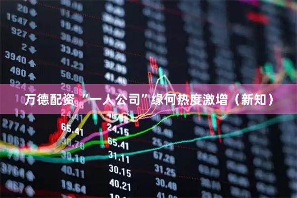万德配资 “一人公司”缘何热度激增（新知）