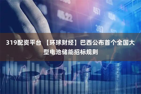 319配资平台 【环球财经】巴西公布首个全国大型电池储能招标规则