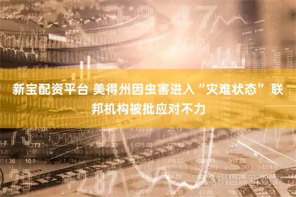 新宝配资平台 美得州因虫害进入“灾难状态” 联邦机构被批应对不力